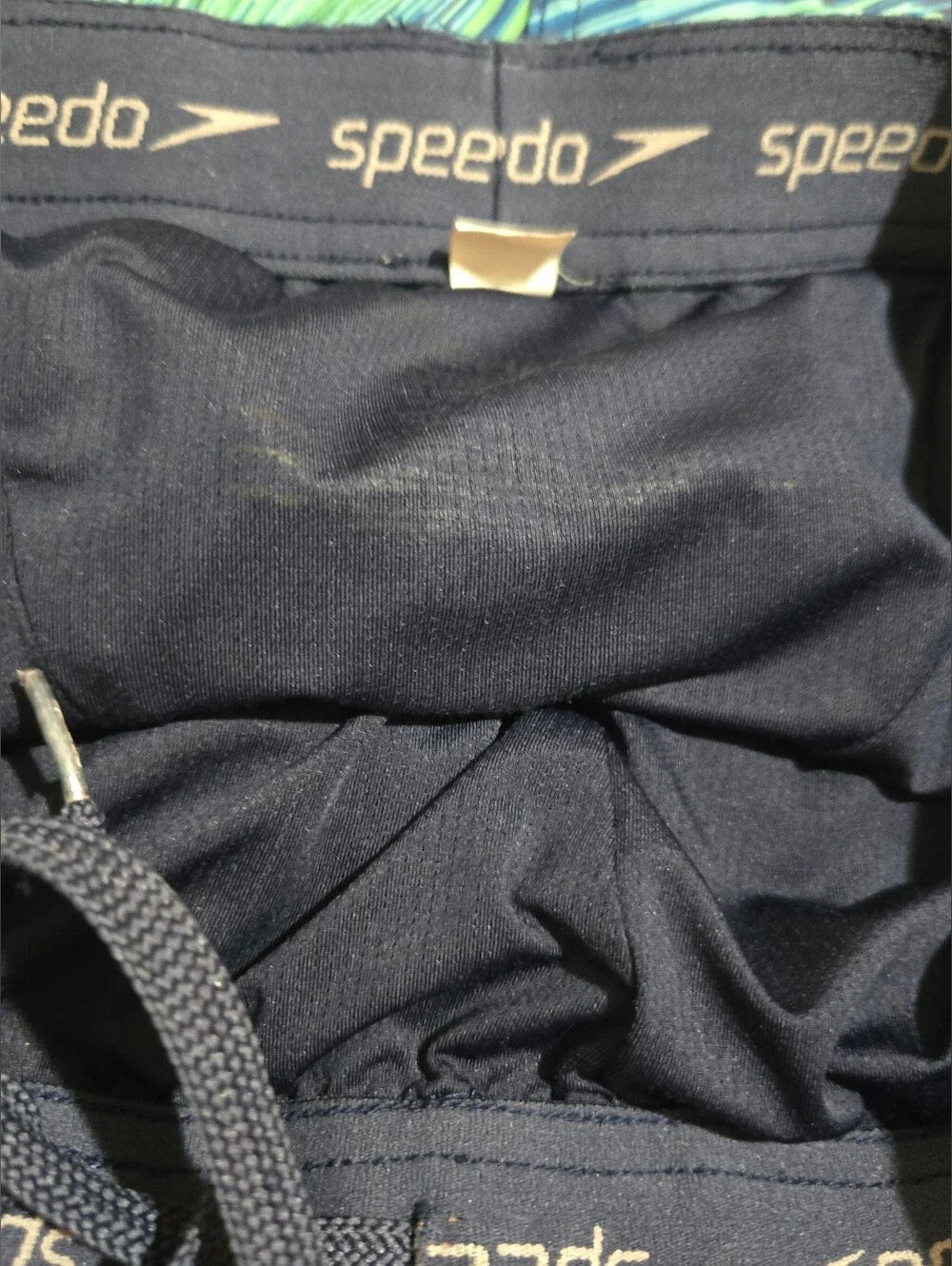 Speedo Green & Blue Diagonal Stripe Swim Trunks
